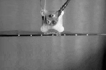 mecanismo de operacion de los ornithopters, 4 alas